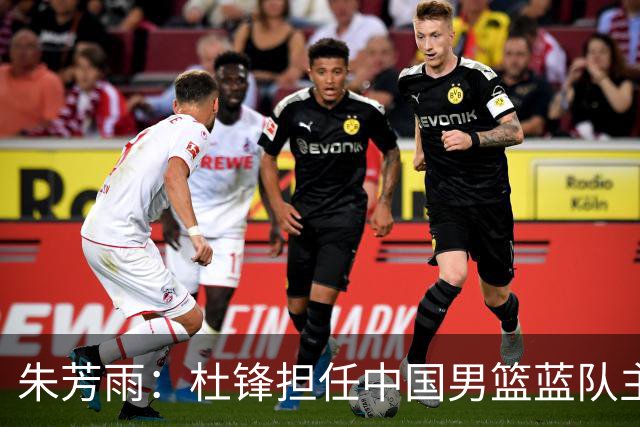 朱芳雨：杜锋担任中国男篮蓝队主帅期间 广东老板曾想让我接任